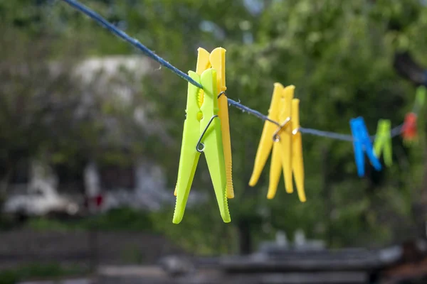 Free Images : grass, fence, lawn, plastic, flower, line, green, cord,  clothesline, clothespin, laundry, clothes peg, clothes pins, clothespeg  6016x4000 - - 789284 - Free stock photos - PxHere