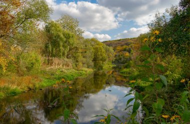 Orman nehri güzel bir sonbahar güneşli bir günde