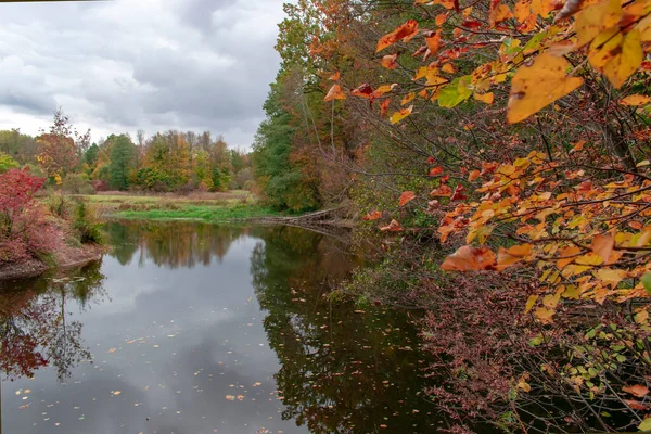 Gloomy Herfst Landschap Van Kleurrijk Bos Door Rivier — Stockfoto