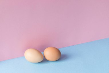 Açık mavi ve pembe arka planda iki kahverengi yumurtanın minimalist görüntüsü. Boşluğu kopyala.