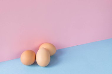 Açık mavi ve pembe arka planda üç kahverengi yumurtanın minimalist görüntüsü. Boşluğu kopyala.