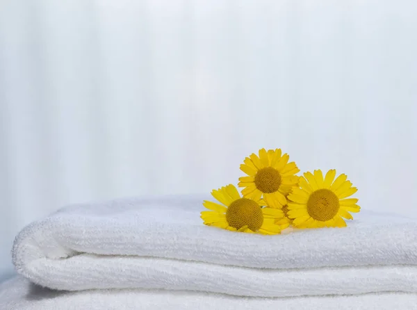 折り畳まれたタオルとバックライト上の3つの黄色の花 — ストック写真