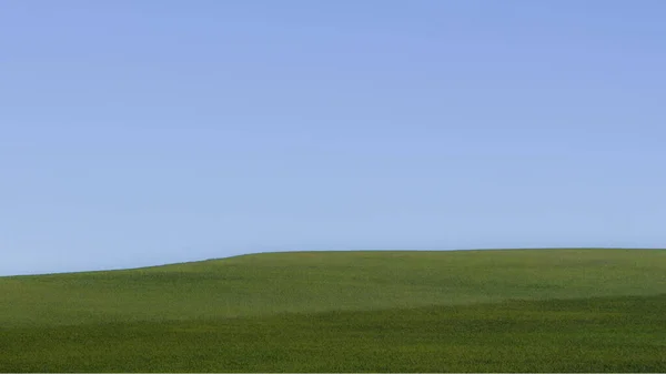 Minimalist image of a landscape with a green meadow on the horizon and a blue sky