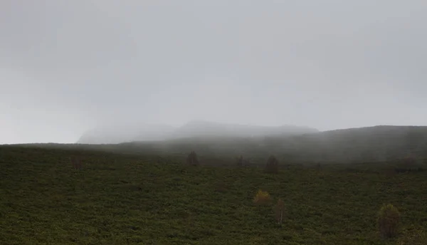 Ködös Domb Néhány Fával Előtérben — Stock Fotó