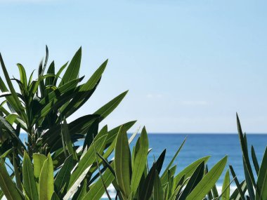 Yaz döneminde İspanyol Akdeniz kıyıları.