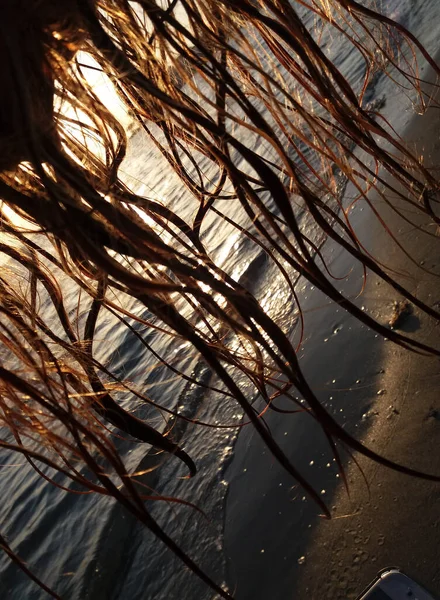 Sylwetka Długich Włosów Kobiety Pięknym Zachodem Słońca Krajobraz Morski Światło — Zdjęcie stockowe