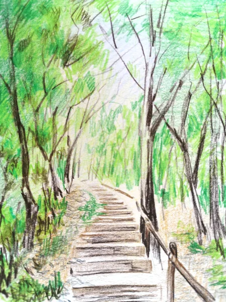 Eskiz Renkli Kalemler Doğa Bahar Ormanı — Stok fotoğraf