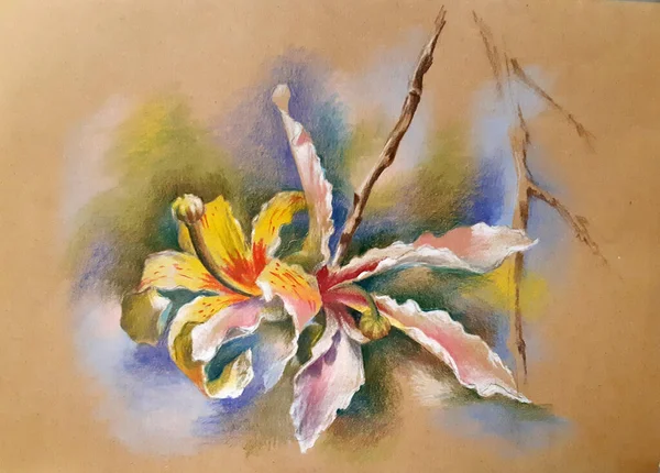 Handmålade Med Färgade Pennor Exotisk Blomma Familjen Magnolia — Stockfoto
