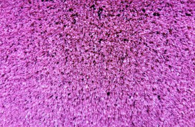 Çimen mor arkaplanının yapay taklidi