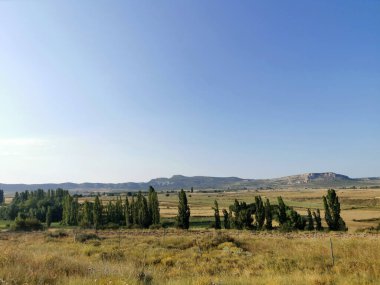 Selvi, buğday tarlaları ve ufukta dağlarla dolu bir manzara.