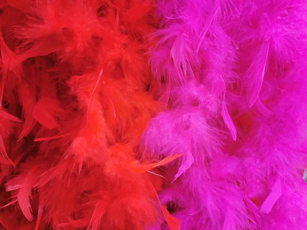 Nature Colored Feathers Background — Stock Photo, Image