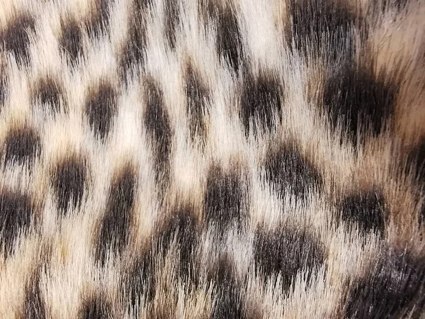 Искусственный Леопардовый Мех Фона Дизайна Темы Моды Домашний Комфорт — стоковое фото