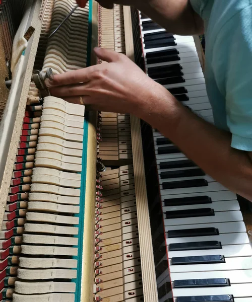 tuning and repairing the piano