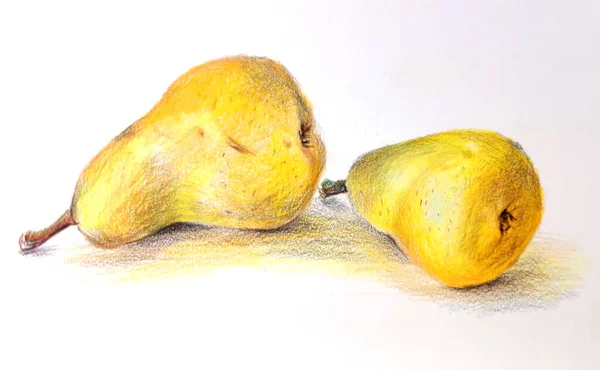 黄色梨子 手绘彩色铅笔 多汁成熟梨子 孤立的白色背景 — 图库照片