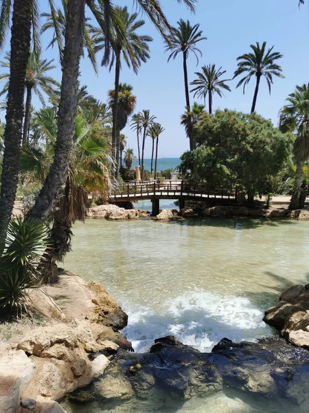 Wasserfall Spanischen Südpark Mit Palmen Gegen Den Klaren Himmel — Stockfoto