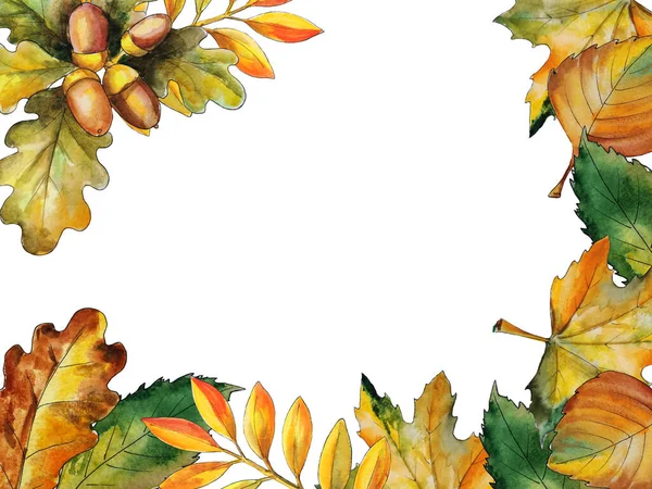 Çoklu renkli sonbahar yapraklarının çerçevesi kopyalama alanı ile suluboya ile boyanmış