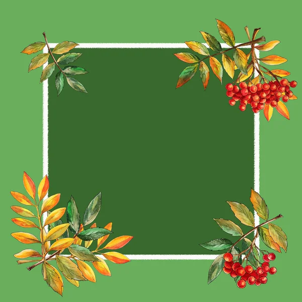 square autumn frame with autumn ash ash berry and leaves decor