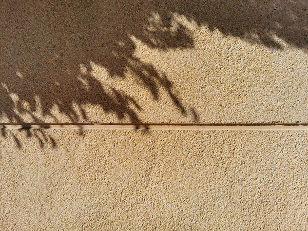 Bayangan Dari Cabang Pohon Dinding Plaster Kuning — Stok Foto