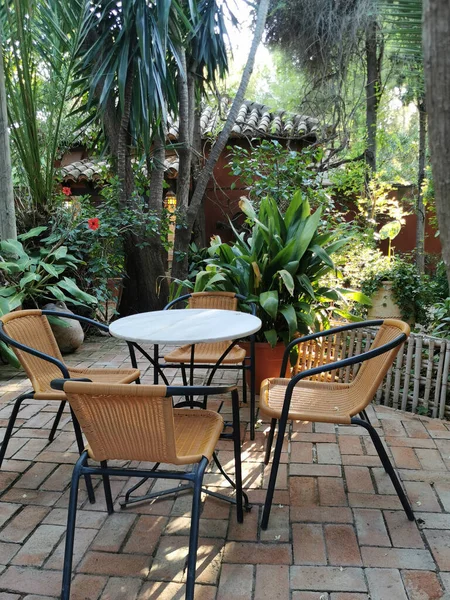 Mesa Com Cadeiras Pátio Parque Com Plantas Tropicais — Fotografia de Stock