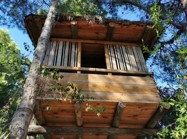 Casa Árbol Parque Tropical Público — Foto de Stock