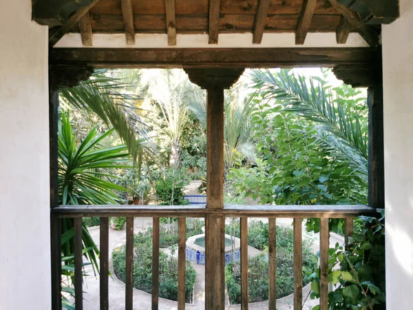 Terraço Com Vista Para Jardim Tropical — Fotografia de Stock