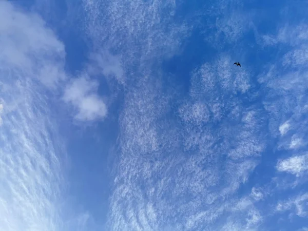 羽の雲と空 — ストック写真