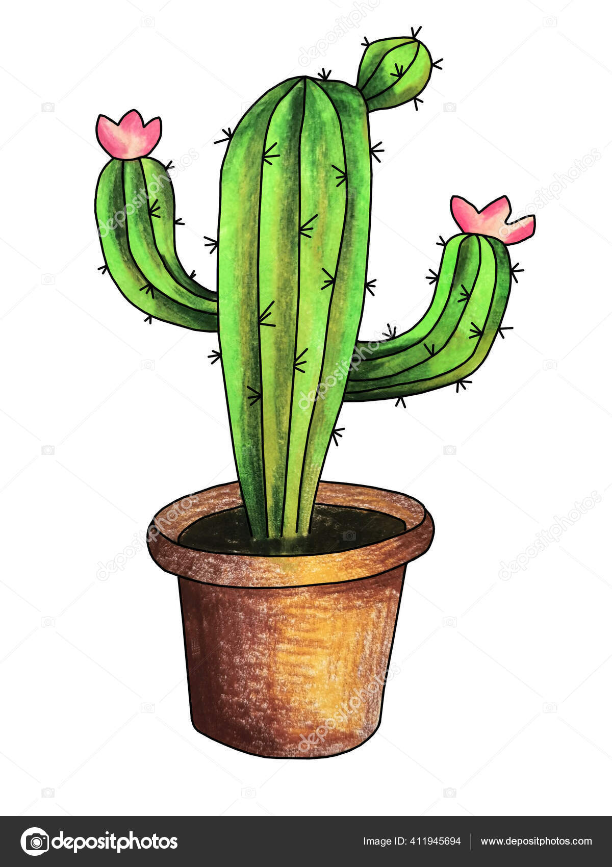 Image result for potted cactus drawing