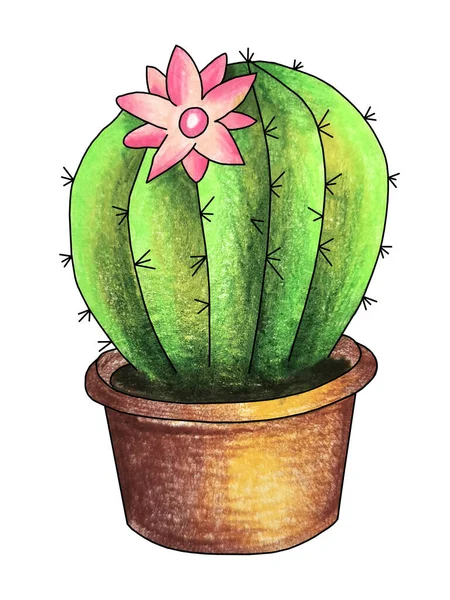 Cactus Una Pentola Disegno Matite Colorate Mano Schizzo Illustrazione — Foto Stock