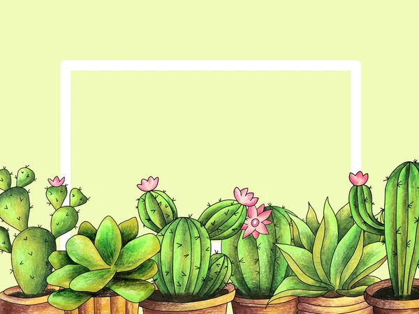 Dekoracyjny Ramka Kaktusy Garnku Rysunek Ręcznie Kolorowe Ołówki Szkic Ilustracja — Zdjęcie stockowe