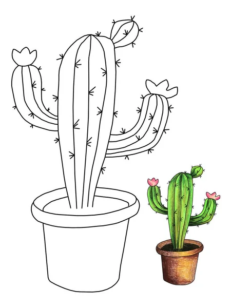 Disegno Mano Carino Disegnato Mano Cactus Isolato Nelle Pentole — Foto Stock