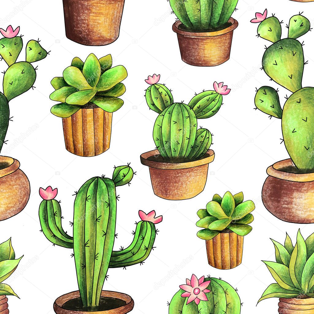 seamless pattern on white background cactus in a pot, drawing hand-colored pencils, sketch illustration
