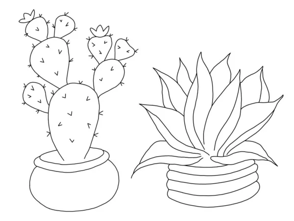 Disegno Mano Carino Disegnato Mano Cactus Isolato Nelle Pentole — Foto Stock