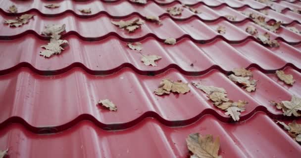 Texture of tiled roof with autumn leaves beautiful autumn background — Stock Footage Texture of tiled roof with autumn leaves beautiful autumn background Royalty Free Stock Video