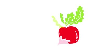 Bahar mevsiminde veya her gün sebze diyetine başlamak için humusla atıştırmalık olarak yenebilecek en iyi organik sebzenin olgunlaşmış turpun kapanışını oluşturan basit elementlerin eylemsizlik hareketi