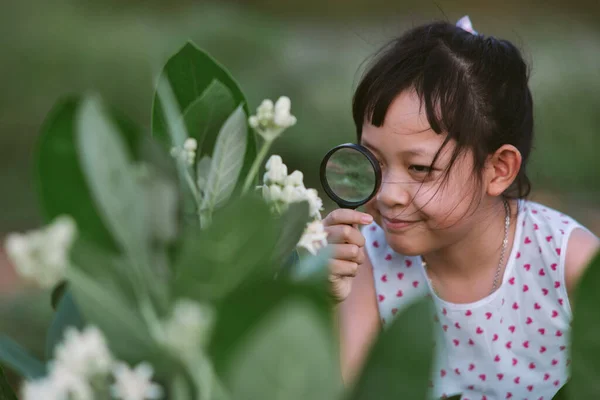 Mutlu Asyalı Küçük Kız Parktaki Yeşil Yaprak Ağacında Büyüteçten Bakıyor — Stok fotoğraf