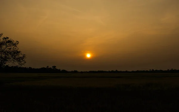 Вид Закат Восход Солнца Национальном Парке Казиранга Города Ассо Индия — стоковое фото