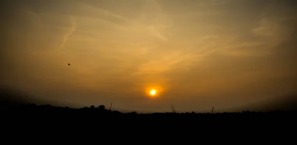 Vista Del Atardecer Amanecer Parque Nacional Kaziranga Assam India — Foto de Stock