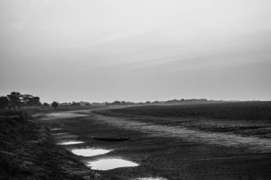Brahmaputra Nehri, Luit, Dilao, Assam 'da. Golaghat 'taki Kuru Brahmaputra Nehri, Assam