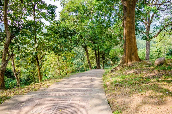 Deopahar Ruins Deopahar Archaeological Site Situated Numaligarh Golaghat District Assam — Stock Photo, Image