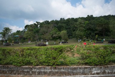 Eco Park Cherrapunji, Meghalaya. Cherapunji 'nin yeşil kanyonlarının güzel manzarası, Bangladeş ovalarının muhteşem manzarası.