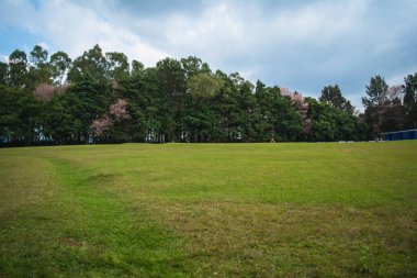 Ünlü 18 Hole Shillong Golf Sahası, Meghalaya 'nın Doğu Khasi Hills bölgesinde yer alıyor, en eski doğal golf sahası.