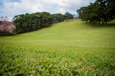 Ünlü 18 Hole Shillong Golf Sahası, Meghalaya 'nın Doğu Khasi Hills bölgesinde yer alıyor, en eski doğal golf sahası.