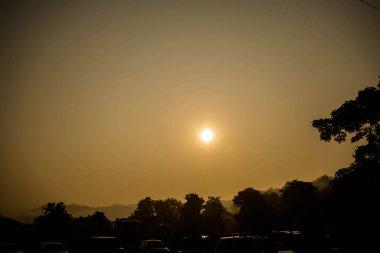Evergreen yağmur ormanları, Kaziranga Ulusal Parkı, Assam, Kuzeydoğu, Hindistan 'da sisli bir sabahın erken saatlerinde ele geçirildi..