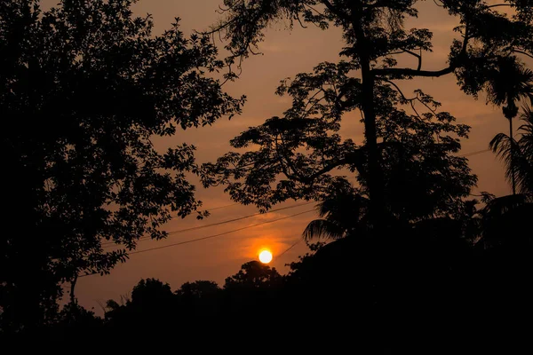 Evergreen Regenwald Berge Aufgenommen Während Eines Frühen Nebligen Morgens Kaziranga — Stockfoto