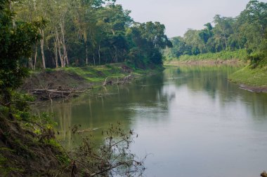 Sabah vakti Kaziranga Ulusal Parkı Assam, Hindistan 'da sisli göl ve nehir manzarası..