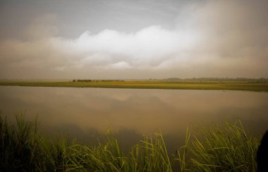 Sabah vakti Kaziranga Ulusal Parkı Assam, Hindistan 'da sisli göl ve nehir manzarası..