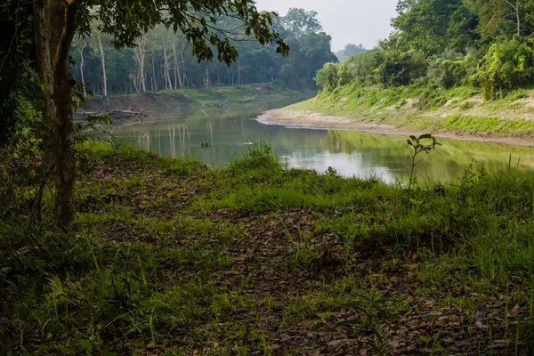 Sabah vakti Kaziranga Ulusal Parkı Assam, Hindistan 'da sisli göl ve nehir manzarası..