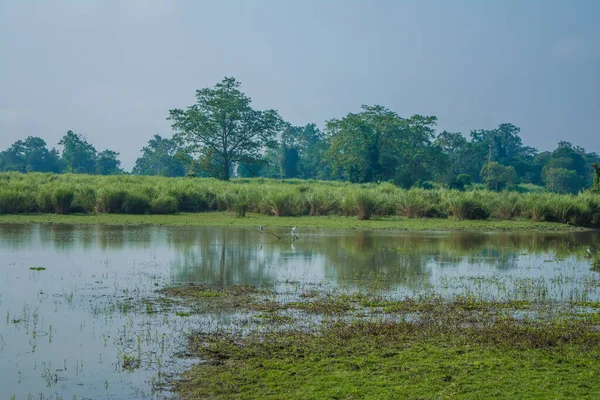 Paisagem Lago Rio Tempo Manhã Com Nevoeiro Parque Nacional Kaziranga — Fotografia de Stock