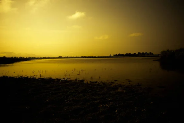 Paisagem Lago Rio Tempo Manhã Com Nevoeiro Parque Nacional Kaziranga — Fotografia de Stock