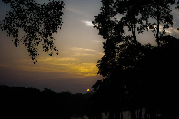 Время Восхода Солнца Национальном Парке Казиранга Ассам Индия — стоковое фото